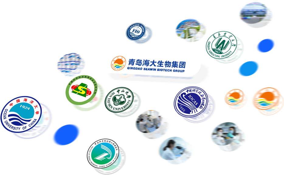 科技立异-巅峰国际官网