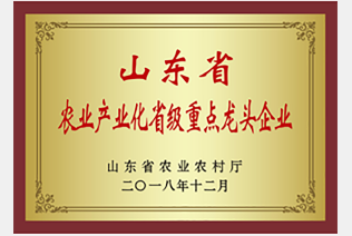 生长历程-巅峰国际官网