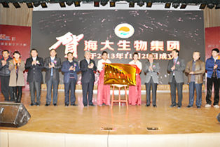 生长历程-巅峰国际官网