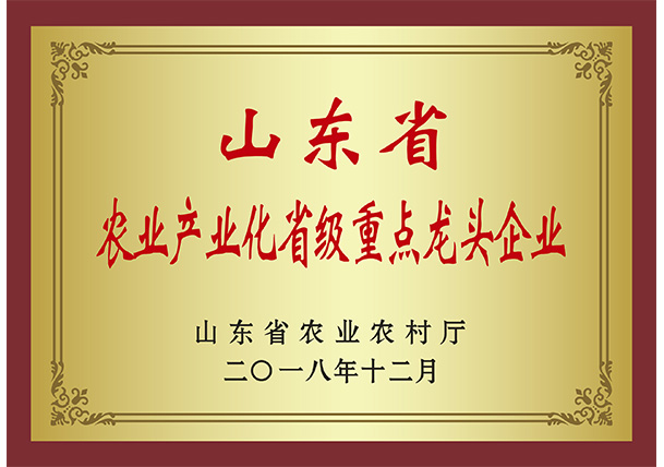 声誉资质-巅峰国际官网