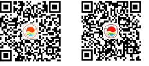 校园招聘-巅峰国际官网
