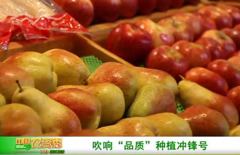 视频中心-巅峰国际官网