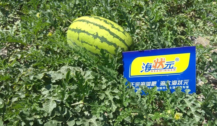 公司要闻-巅峰国际官网